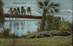 Alligator Bait Black Americana Postcard Postcard Postcard