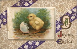 A Joyous Easter - Baby Chick just Hatched With Chicks Postcard Postcard