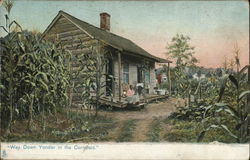 House Situated Among Cornfields with People on Porch Postcard