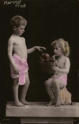 Harvest Fruit Postcard