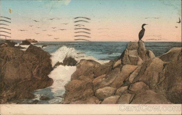 Hotel Del Monte--Cormorant Pacific Ocean 17 Mile Drive California