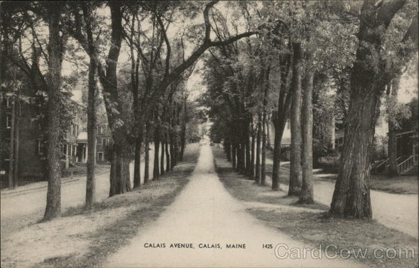 Calais Avenue Maine