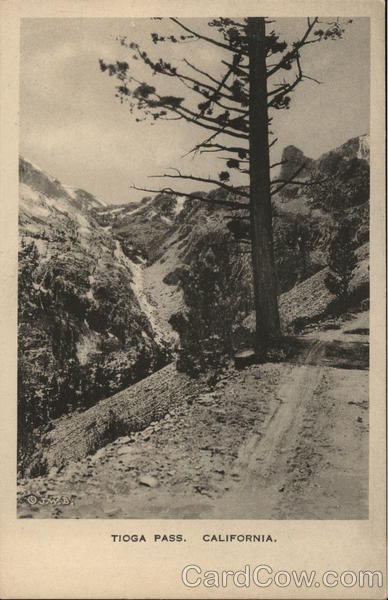 Tioga Pass California