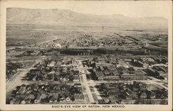 Bird's-Eye View of Raton, New Mexico Postcard Postcard Postcard