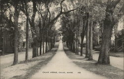 Calais Avenue Postcard