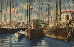 Fishing Vessles - Forests of Masts Gloucester, MA Postcard Postcard Postcard