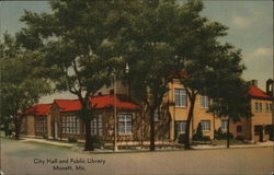 City Hall and Public Library Postcard