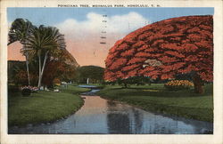 Poinciana Tree, Moanalua Park Honolulu, HI Postcard Postcard Postcard