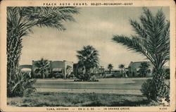 Peach Auto Court Postcard