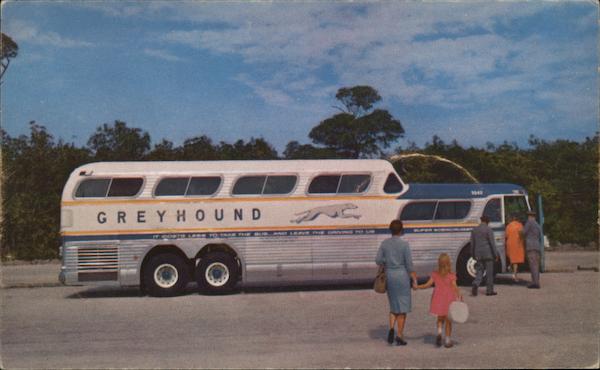 America's Farorite Bus: The Super Scenicruiser Buses