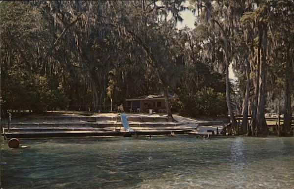 Swimming Area and Snack Bar - Manatee Springs Chiefland Florida