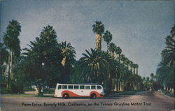 Tanner Grayline Motor Tour Beverly Hills, CA Postcard Postcard Postcard