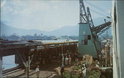 Loading Bananas, Standard Fruit & Steamship Co. Wharf Loading Bananas, Standard Fruit & Steamship Co. Wharf