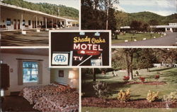 Shady Oaks Motel Postcard