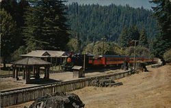 The "Super Skunk" Postcard