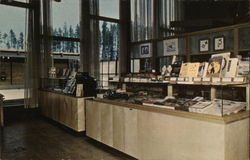 Haynes Picture Shop, Main Lodge, Canyon Village Yellowstone National Park Postcard Postcard Postcard