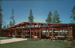 Haynes Picture Shop, Canyon Village Yellowstone National Park Postcard Postcard Postcard
