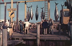 Galilee Fishing Village Postcard