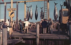 Galilee Fishing Village Postcard