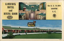 Gamecock Motel and Dining Room Postcard