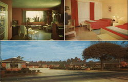 Pate's Motel Postcard