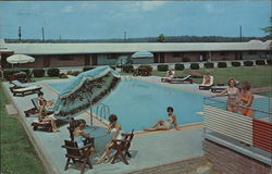 Redwood Motor Lodge Postcard