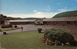 Buena Vista Motel Postcard