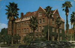 University of Florida - Newell Hall Gainesville, FL Postcard Postcard Postcard