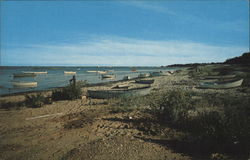 Aunt Lydia's Cove, East of Chatham Fish Pier Massachusetts Postcard Postcard Postcard