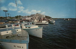 Chatham "Cape Cod" Mass. Postcard