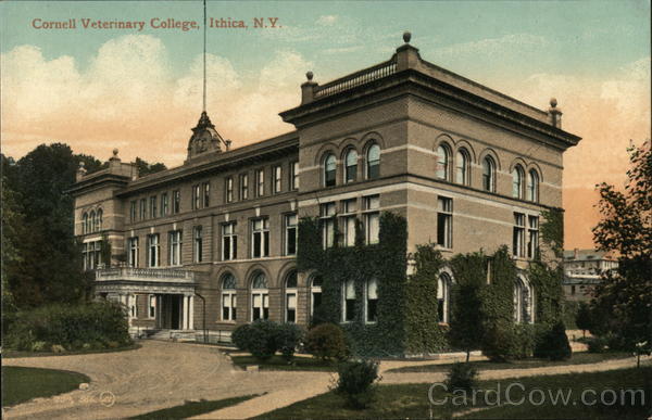 Cornell Veterinary College Ithaca New York