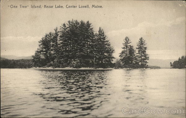 Old Tree Island, Kezar lake Center Lovell Maine