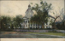 View of Capitol Building Tallahassee, FL Postcard Postcard Postcard