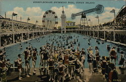 Steeplechase Swimming Pool, Coney Island New York, NY Postcard Postcard Postcard