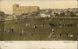Fort Field Postcard