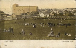 Fort Field Prescott, ON Canada Ontario Postcard Postcard Postcard