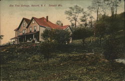 Elm Tree Cottage, Catskill Mts. Postcard