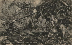 In "The Glen," Britannia Lake of Bays, ON Canada Ontario Postcard Postcard Postcard