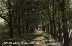 Lover's Lane Marseilles, IL Postcard Postcard Postcard