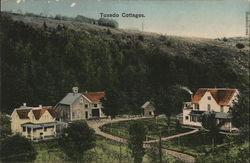 Tuxedo Cottages Griffins Corners, NY Postcard Postcard Postcard