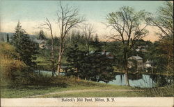 Hallock's Mill Pond, Milton, N.Y. New York Postcard Postcard Postcard