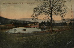 Central Valley, NY Stony Vale Postcard