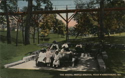 The Spring, Pertle Springs Warrensburg, MO Postcard Postcard Postcard