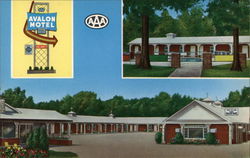 Avalon Motel Postcard