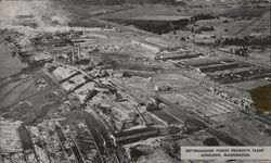 Weyerhaeuser Forest Products Plant Longview, WA Postcard Postcard Postcard