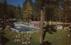 Feather River Inn - Swimming Pool and Trout Pond Postcard