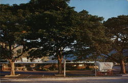 M's Ranch House, Aina Haina Honolulu, HI Postcard Postcard Postcard
