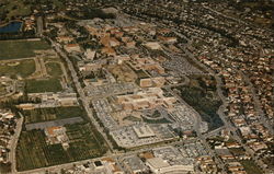 University of California at Los Angeles Postcard