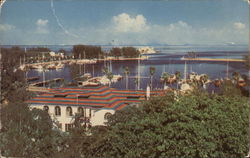 Central Yacht Basin and Municipal Pier from St. Petersburg Yacht Club Roof Florida Postcard Postcard Postcard