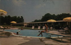 DUKE MOTOR LODGE Postcard